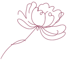 The Feminine Network - Women's Networking Circles